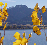 Mt Gold Lake Wanaka with autumn poplar leaves