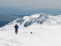 guided ski touring in NZ